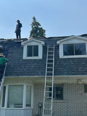 527499701_122122626314901345_5884293350215191280_n