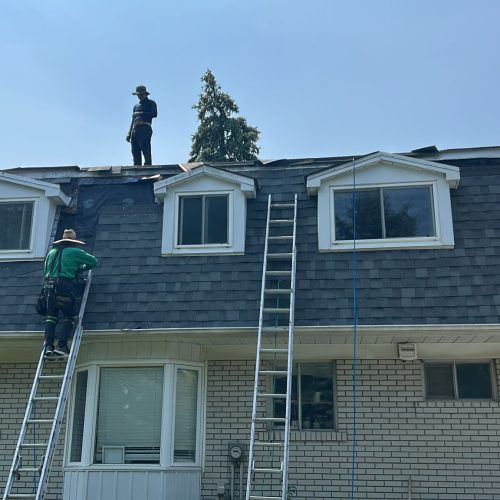 527499701_122122626314901345_5884293350215191280_n